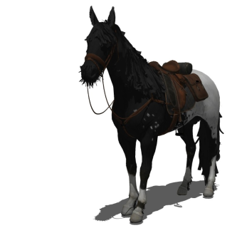 精品动物模型  马 (6)